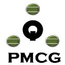 Project Management Consulting Group