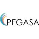 Pegasa Technology Solution