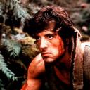 Rambo, the Translator