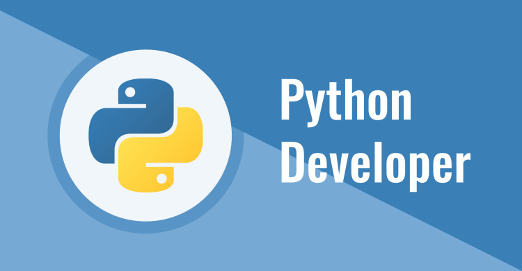 Types of Python Developer