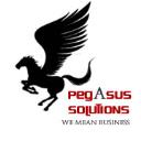 Pegasus IT Solution