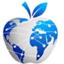 Blue Apple IT Solutions