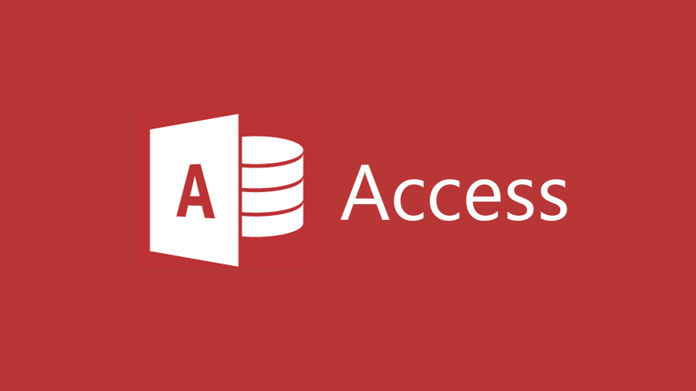 Microsoft access developer